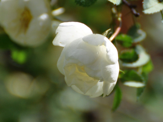 429454 (a): :1600x1200